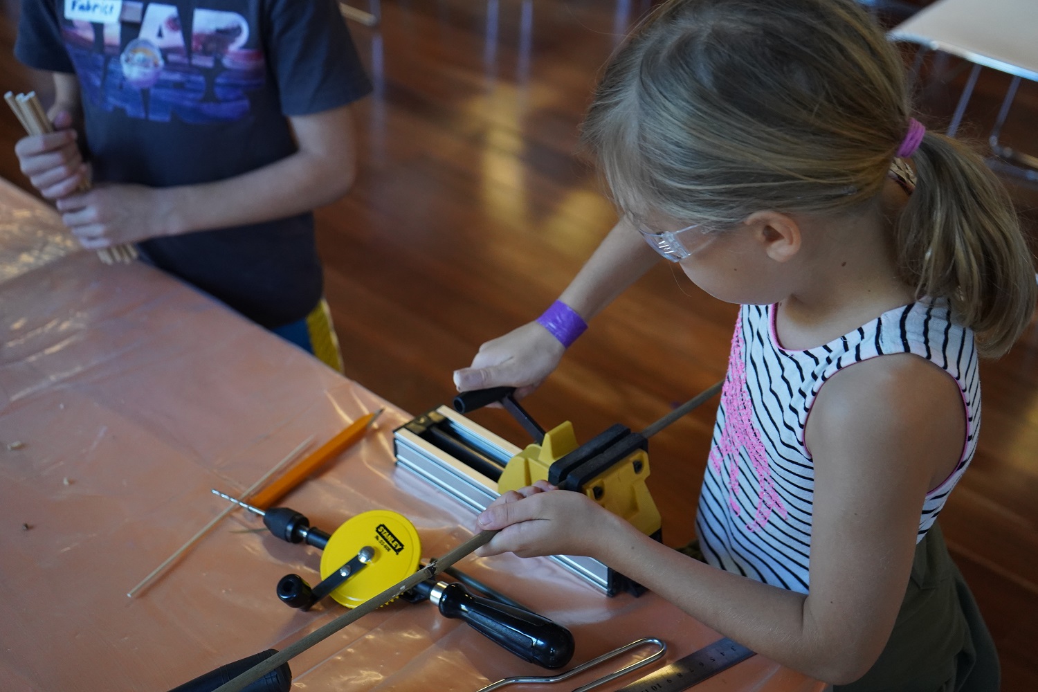 Backyard Blockheads Western Australian Museum